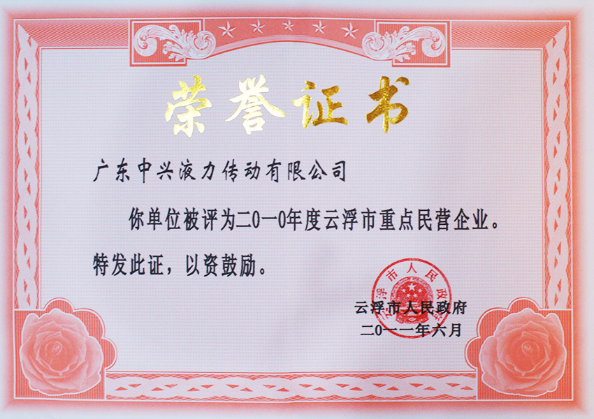 2010年度支浮市重點民營企業(yè)證書（2011）